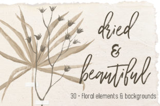Evaluating Dried Flowers and Backgrounds for Professional Design Projects