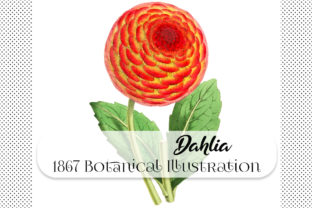 Integrating the Botanical Dahlia Flower into Modern Creative Workflows