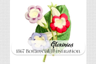 Reviving Victorian Charm: Using 1867 Botanical Gloxinias in Modern Design